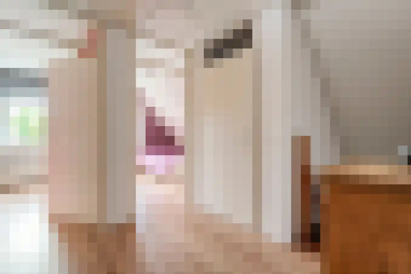 Melisse 5 Raalte thumbnail 48