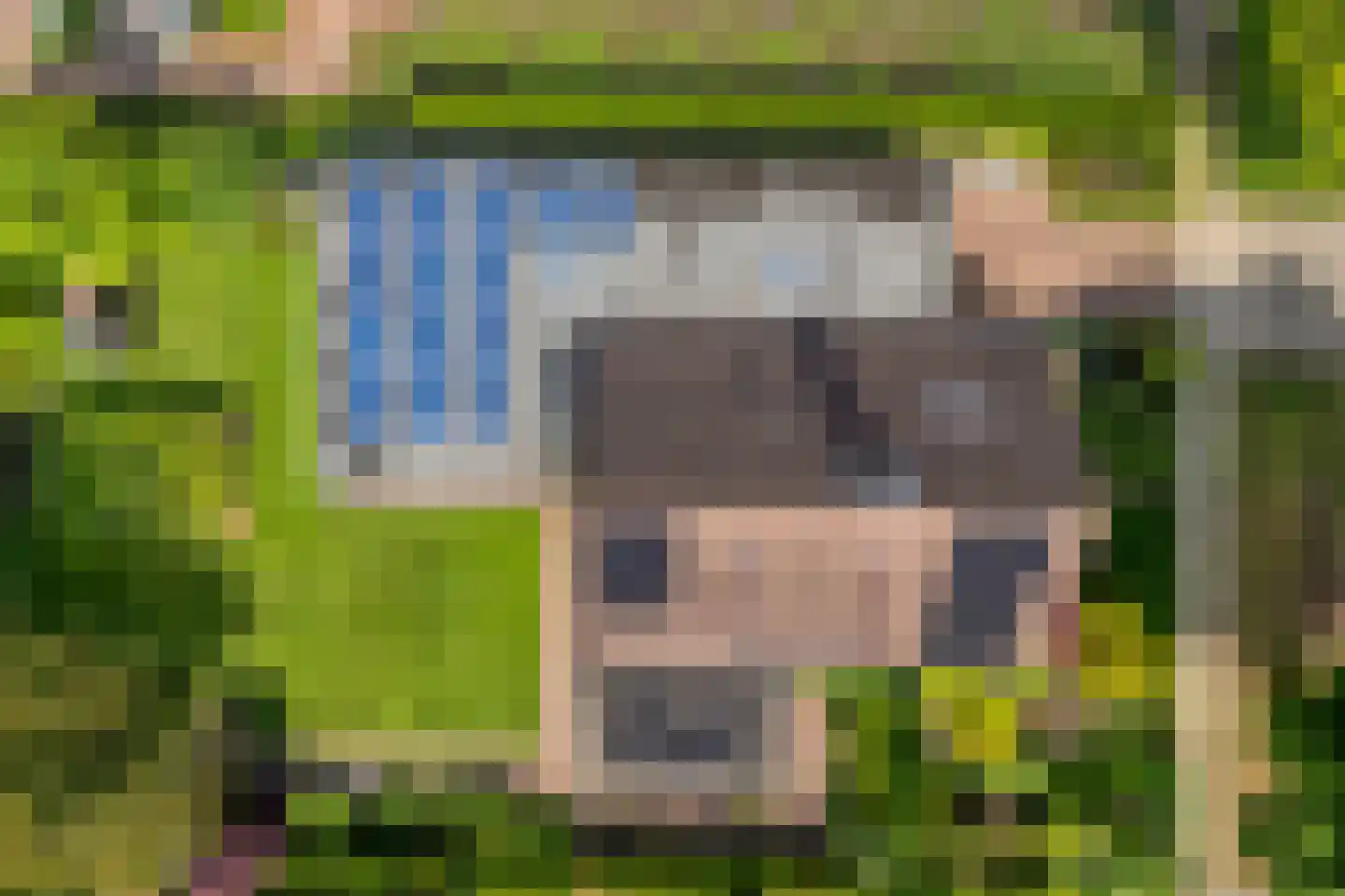 Melisse 5 Raalte thumbnail 5