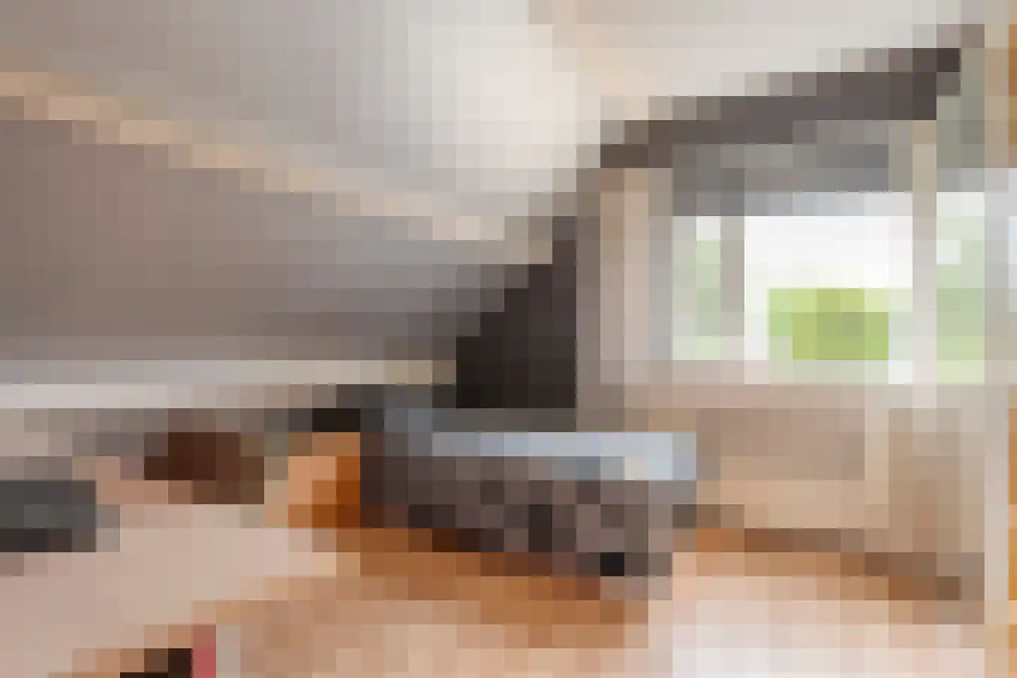 Melisse 5 Raalte thumbnail 51