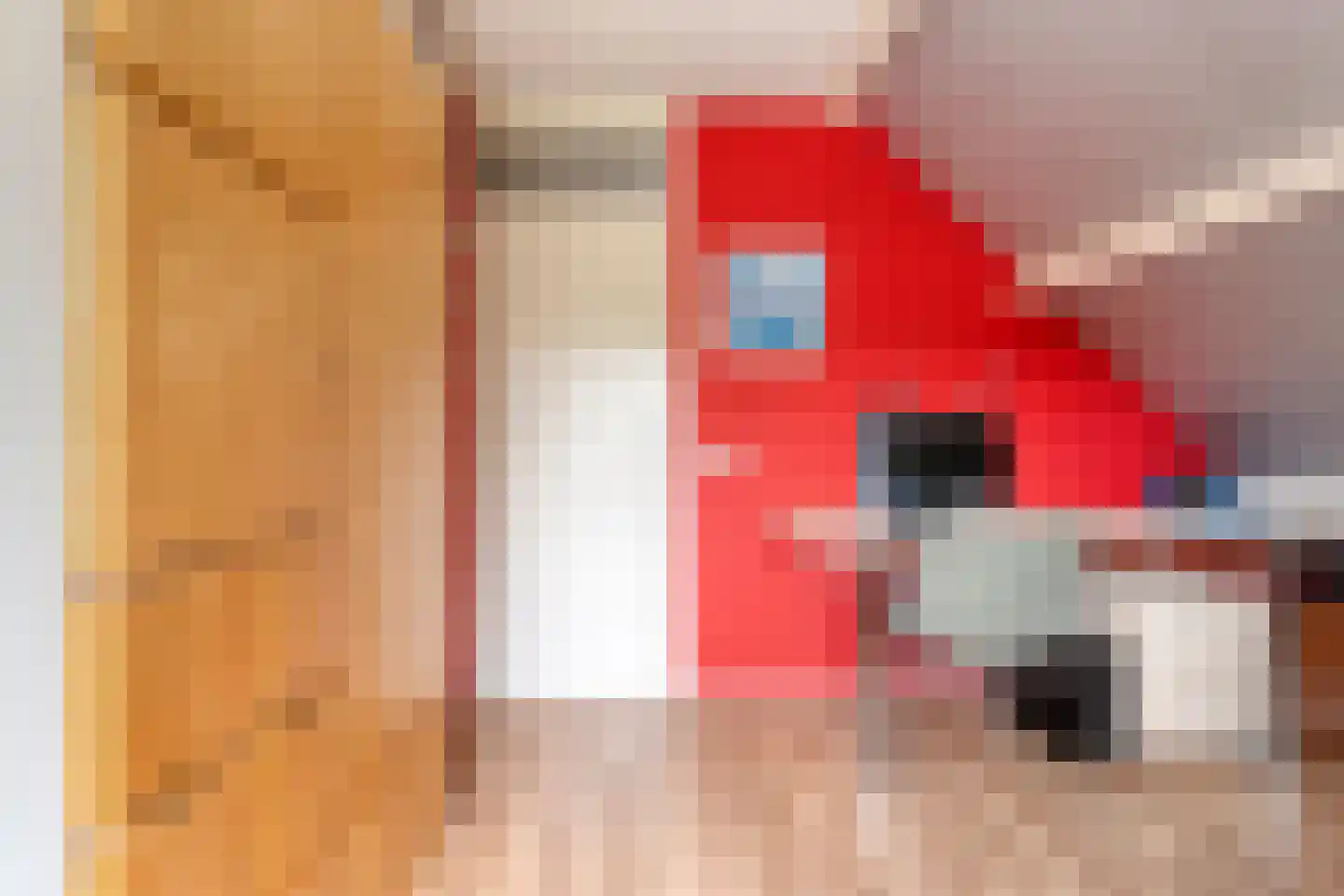 Melisse 5 Raalte thumbnail 52