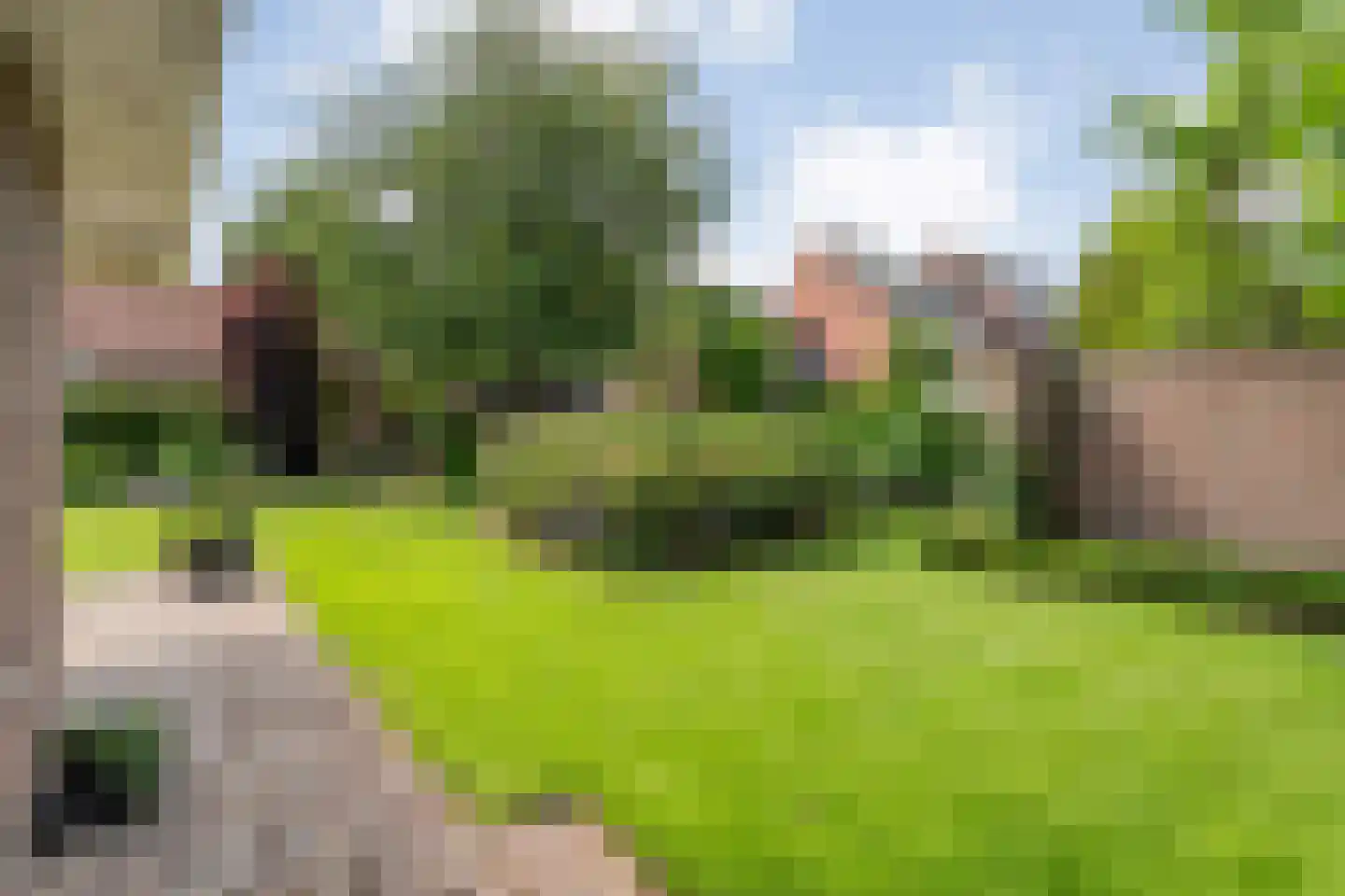 Melisse 5 Raalte thumbnail 56