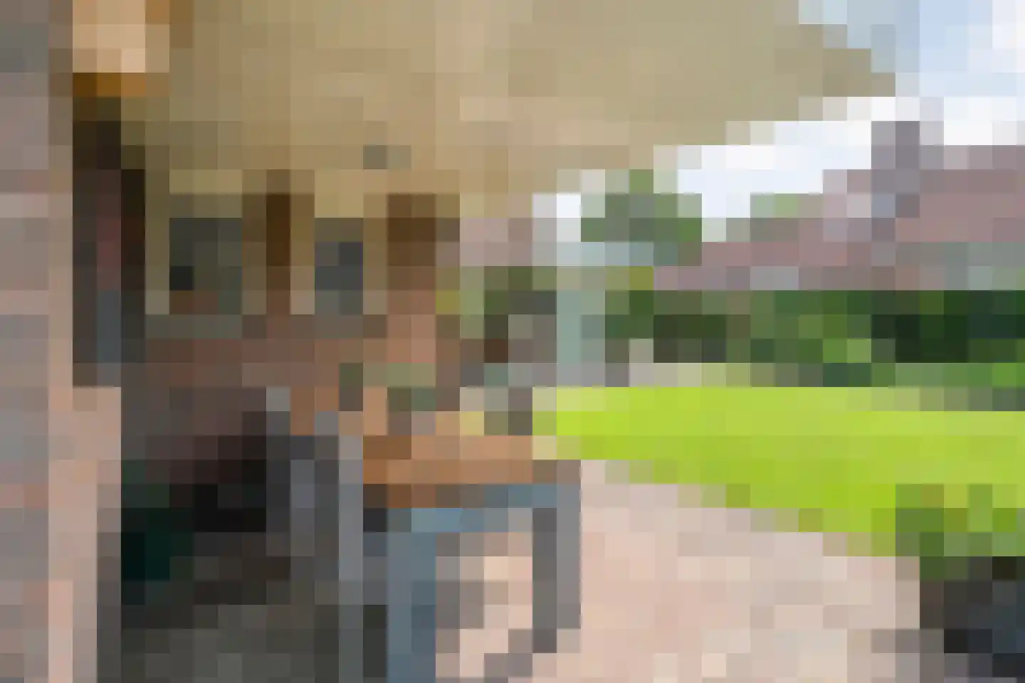 Melisse 5 Raalte thumbnail 57