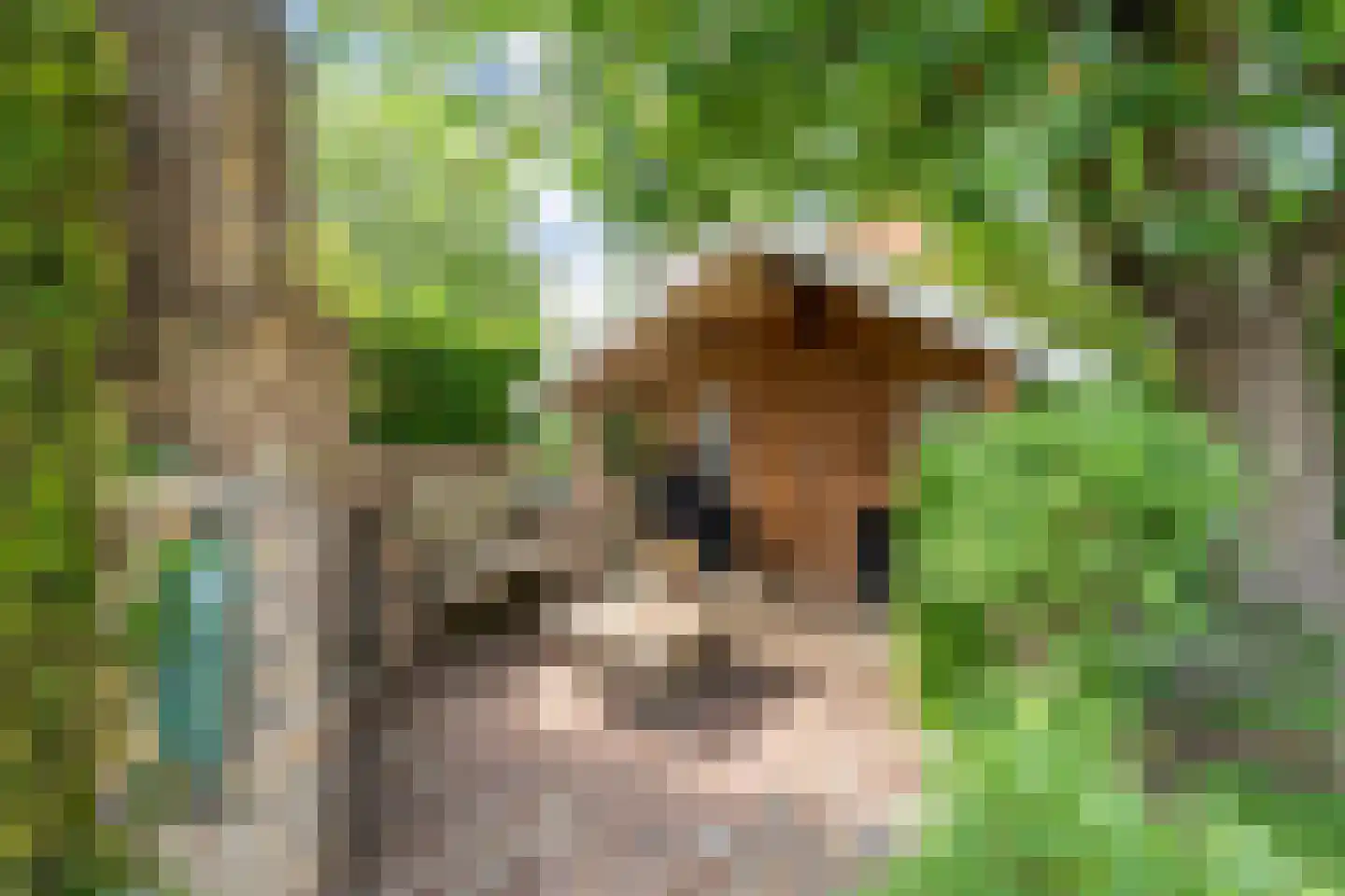 Melisse 5 Raalte thumbnail 59