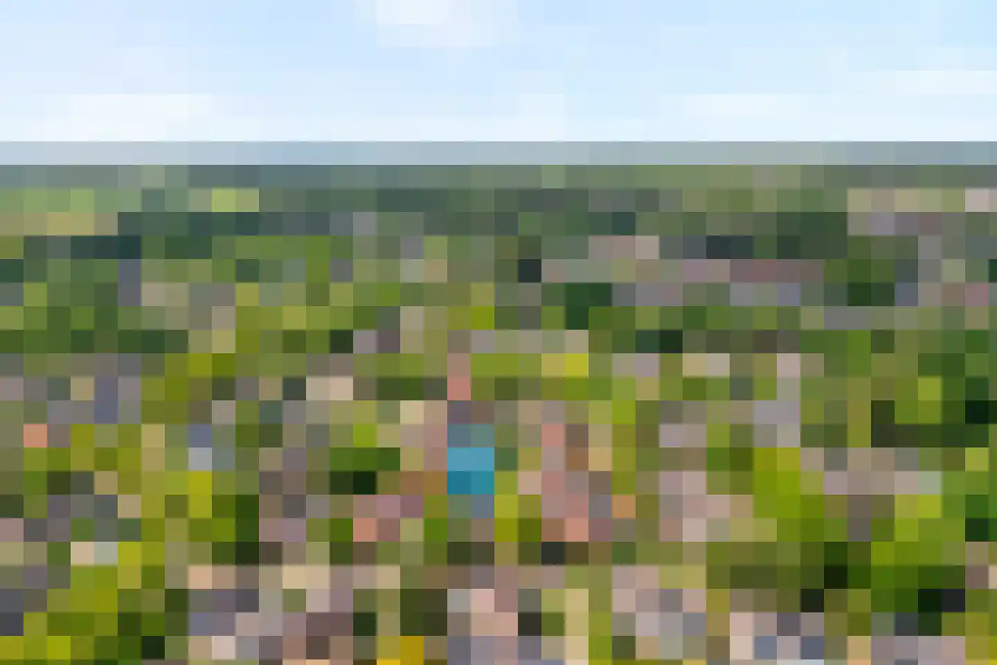 Melisse 5 Raalte thumbnail 6