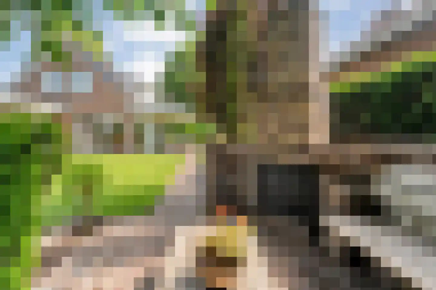 Melisse 5 Raalte thumbnail 60
