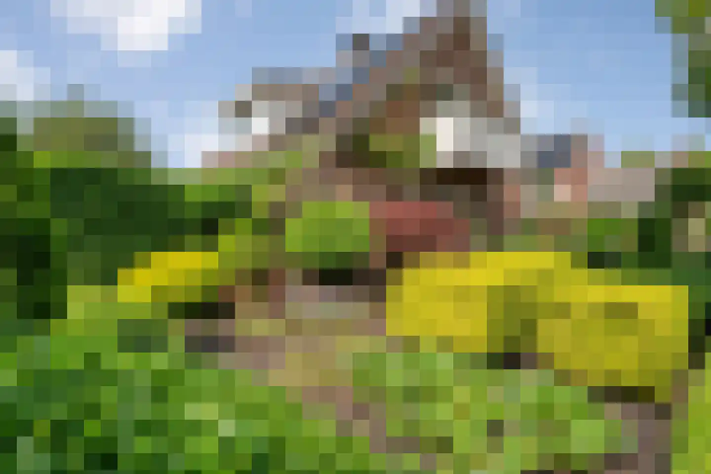 Melisse 5 Raalte thumbnail 63