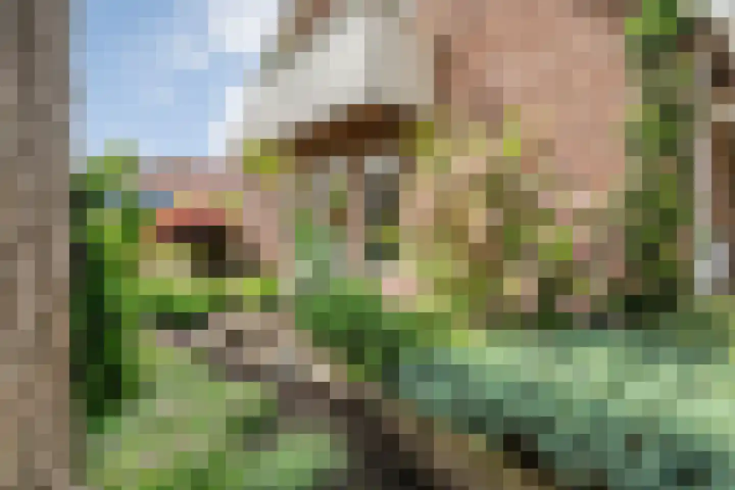 Melisse 5 Raalte thumbnail 64