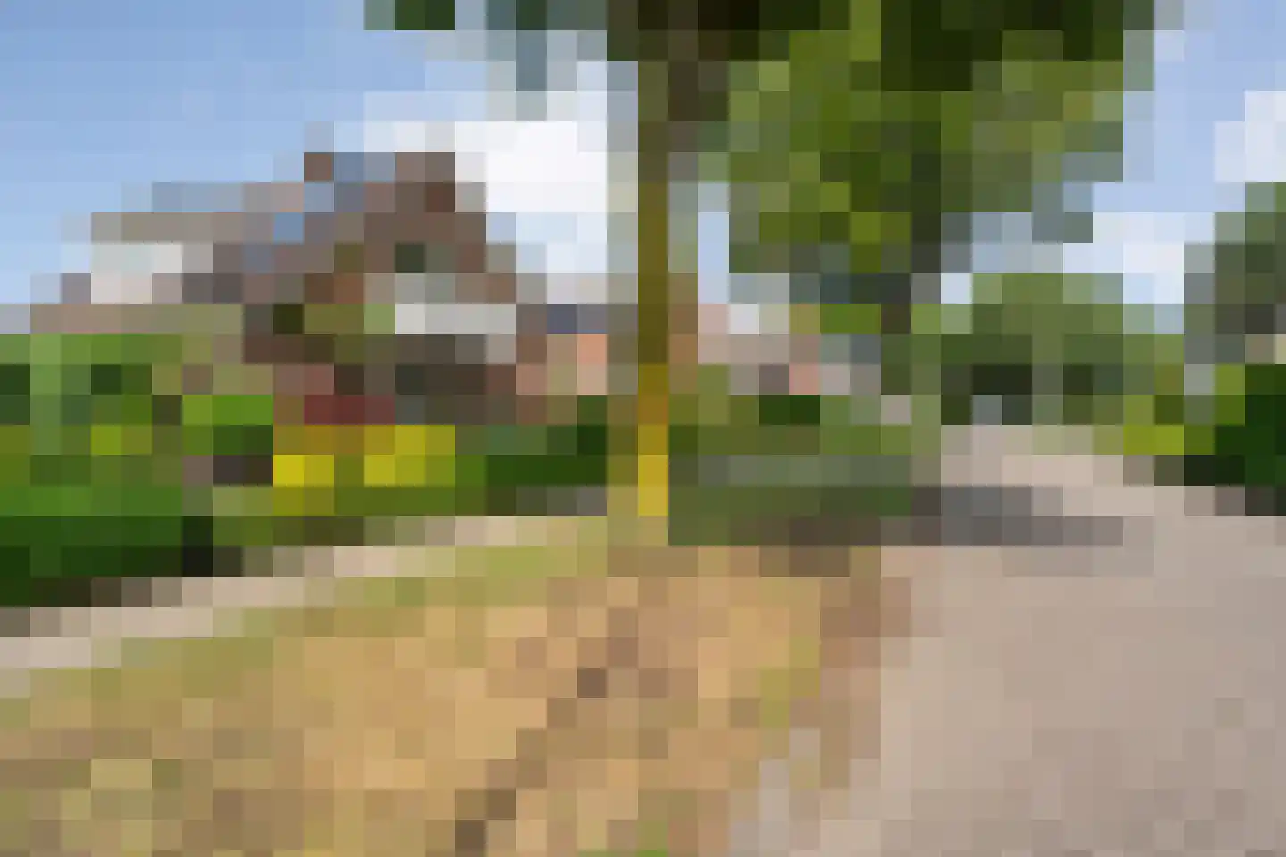 Melisse 5 Raalte thumbnail 66