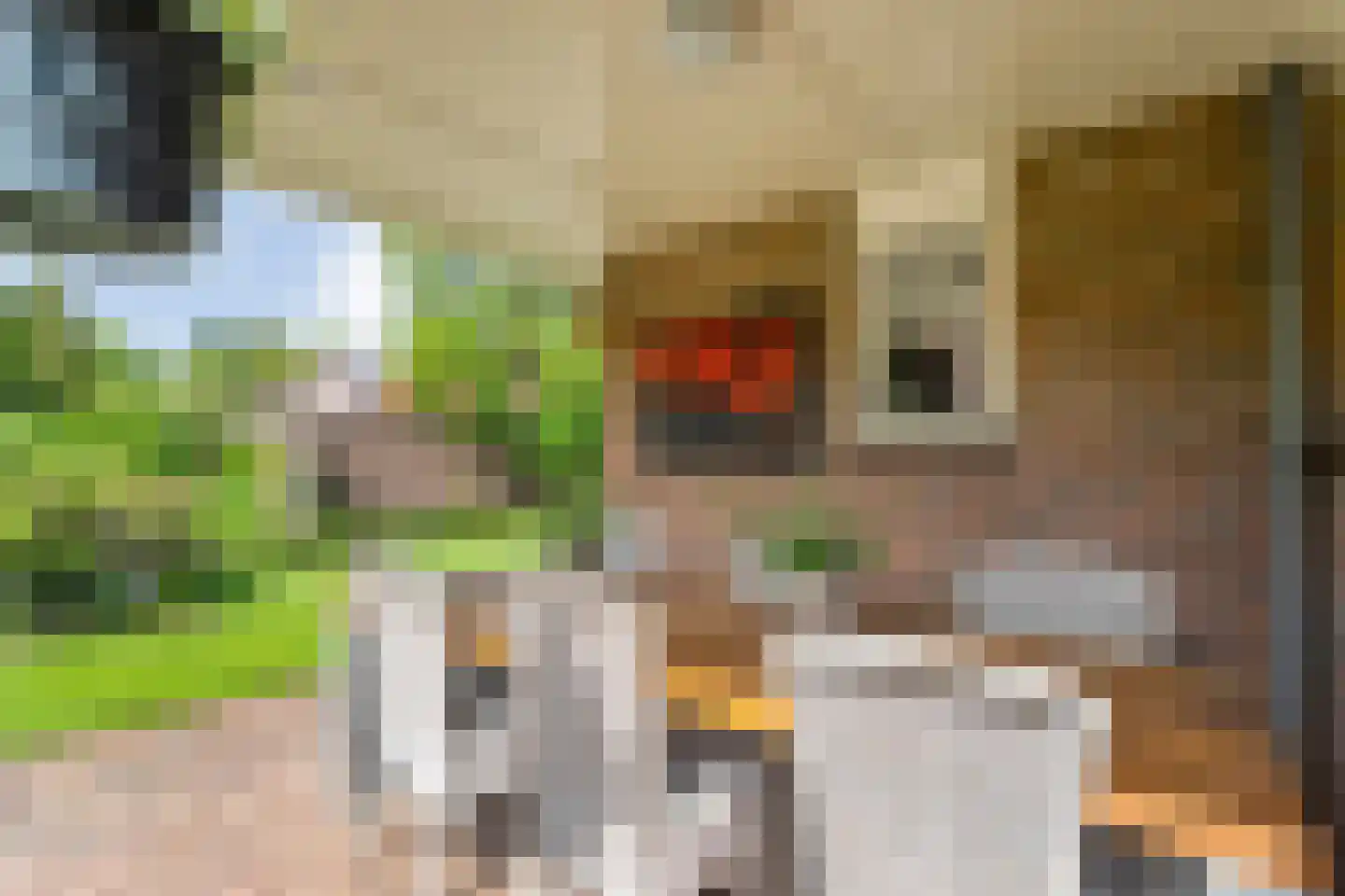 Melisse 5 Raalte thumbnail 67