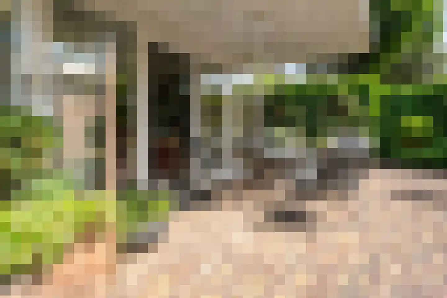 Melisse 5 Raalte thumbnail 68