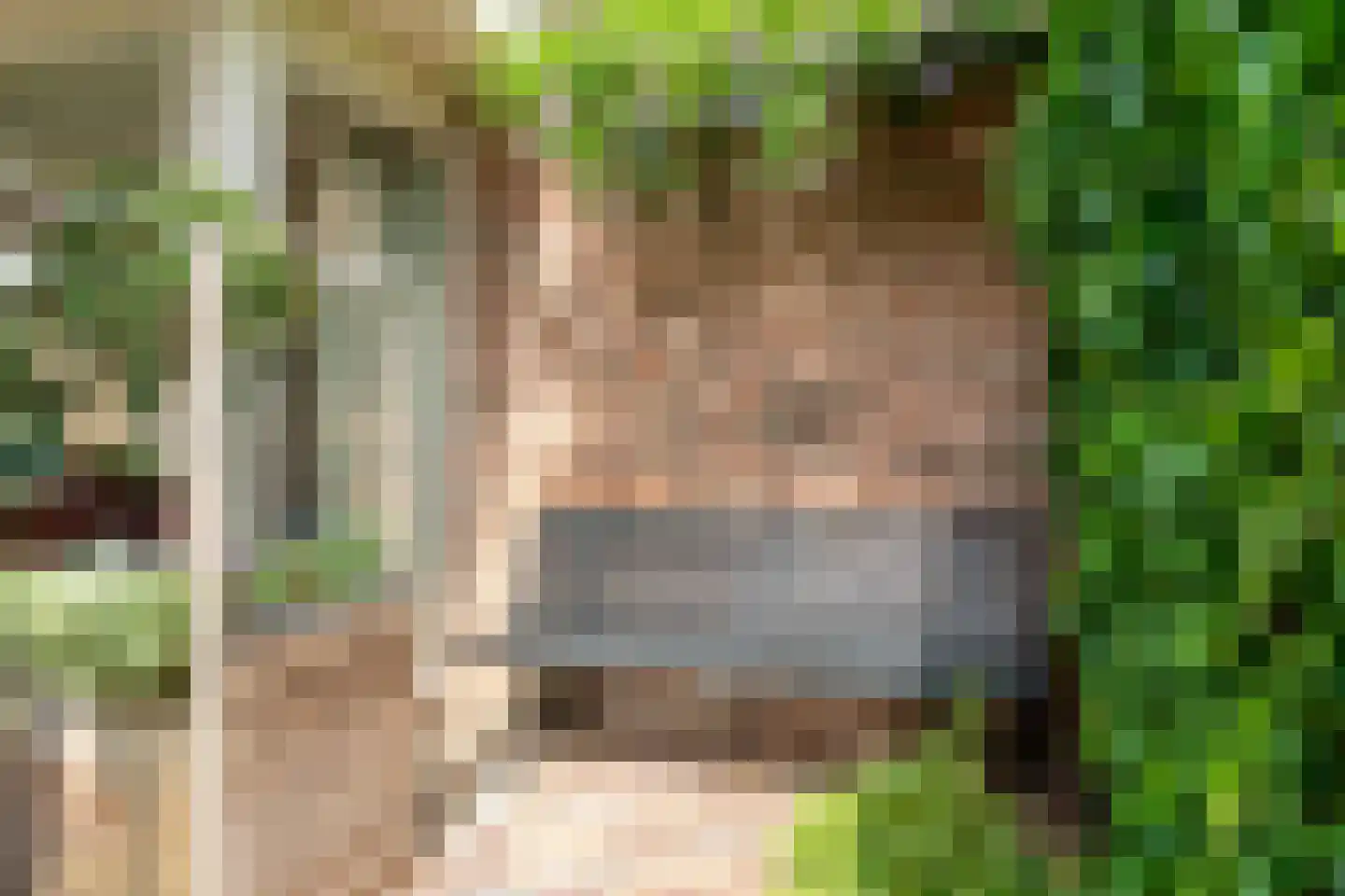 Melisse 5 Raalte thumbnail 70