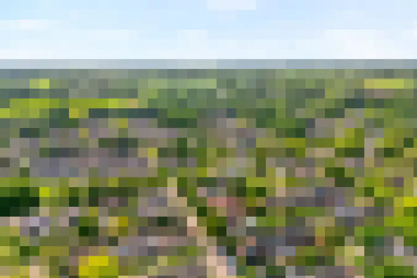 Melisse 5 Raalte thumbnail 71