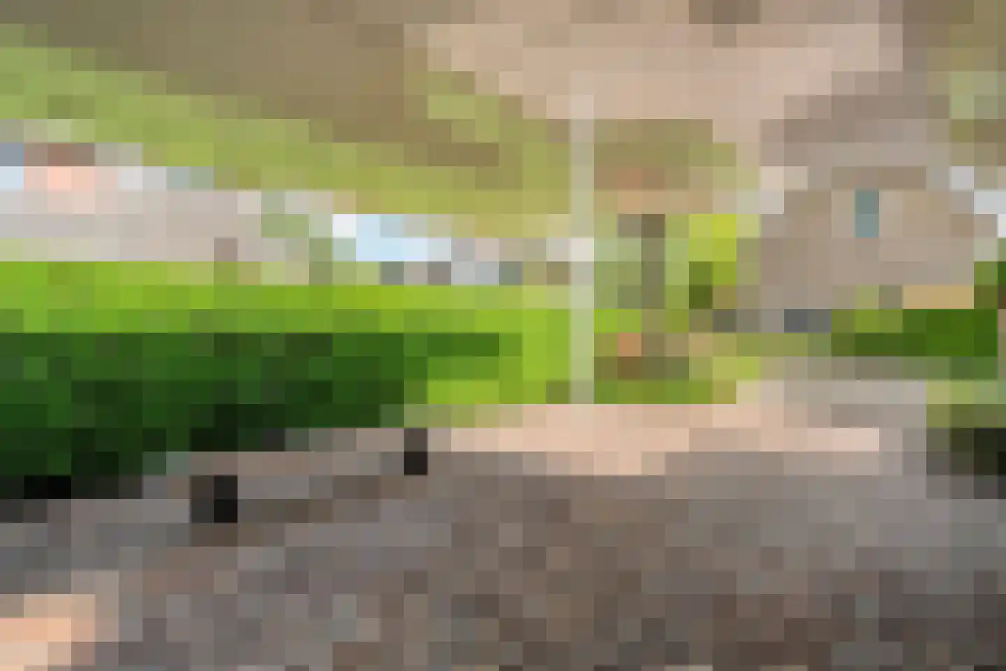 Melisse 5 Raalte thumbnail 9