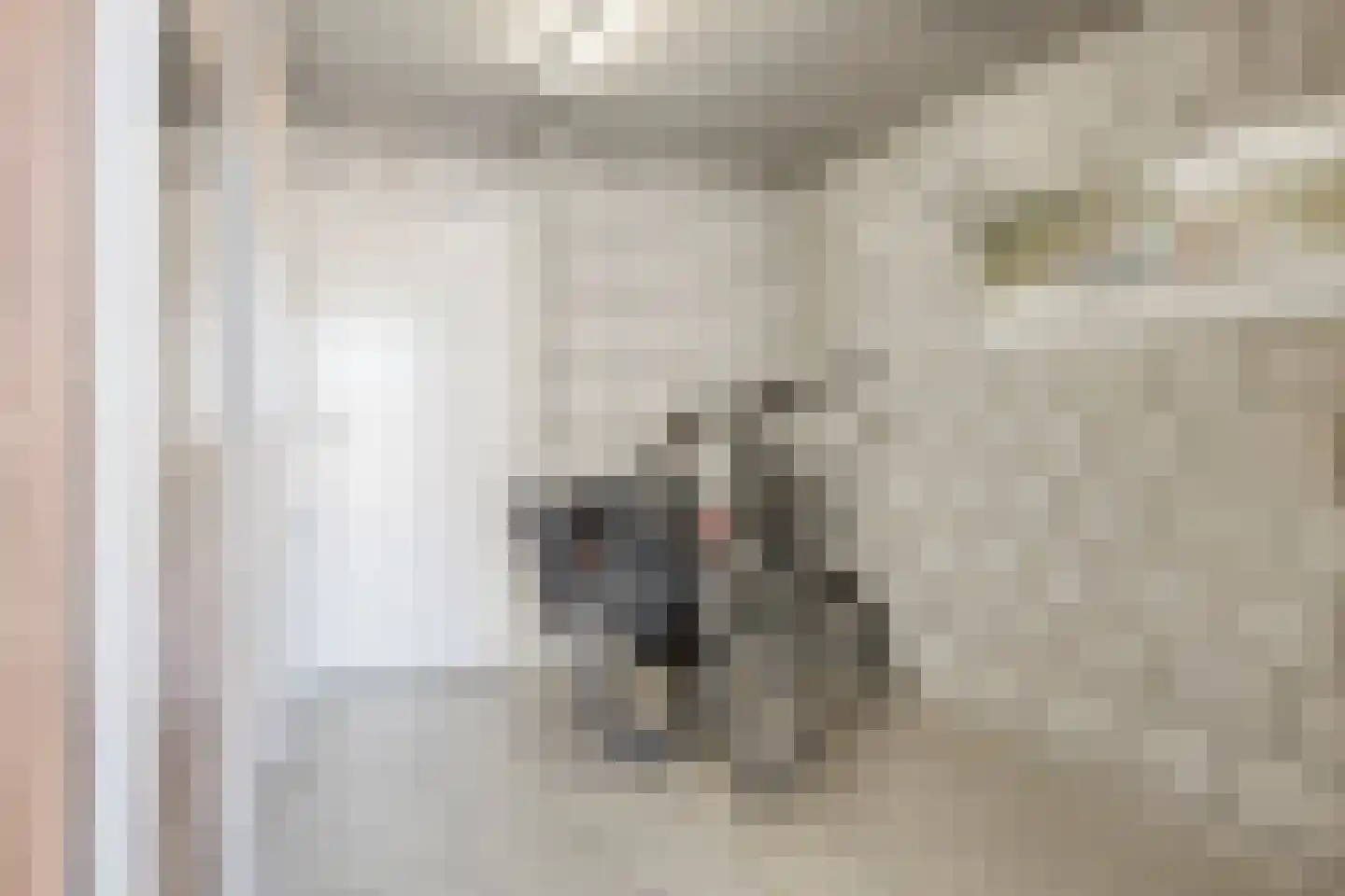 Melisse 6 Venray thumbnail 34