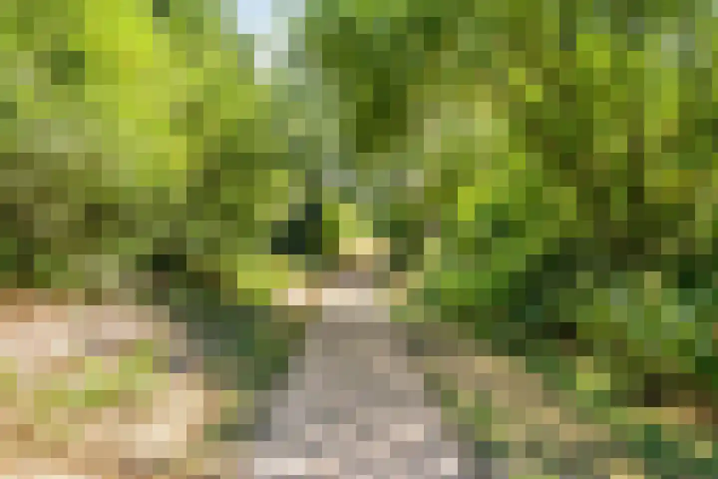 Melisse 6 Venray thumbnail 37