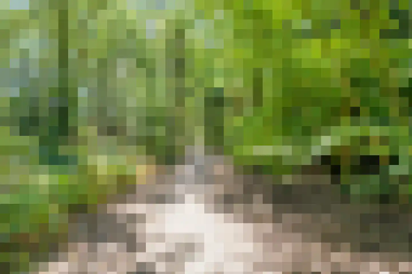 Melisse 6 Venray thumbnail 38