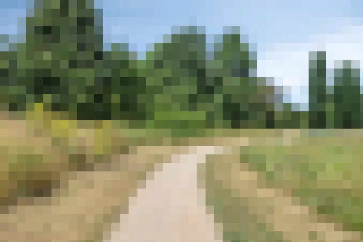 Melisse 6 Venray thumbnail 39