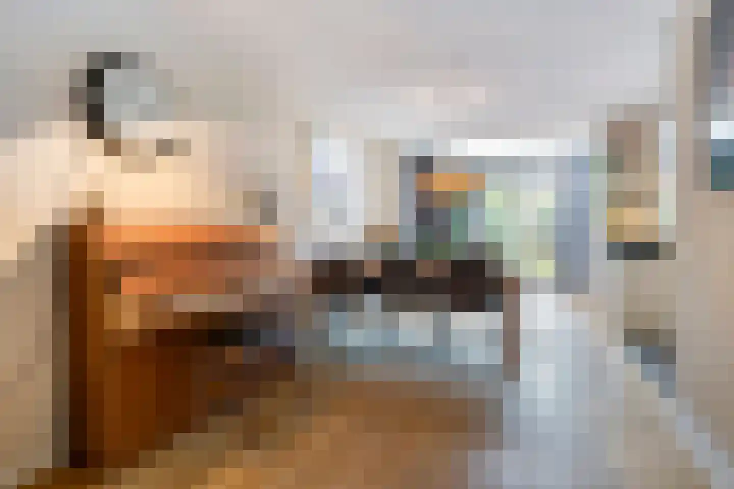 Melisse 7 Venray thumbnail 13