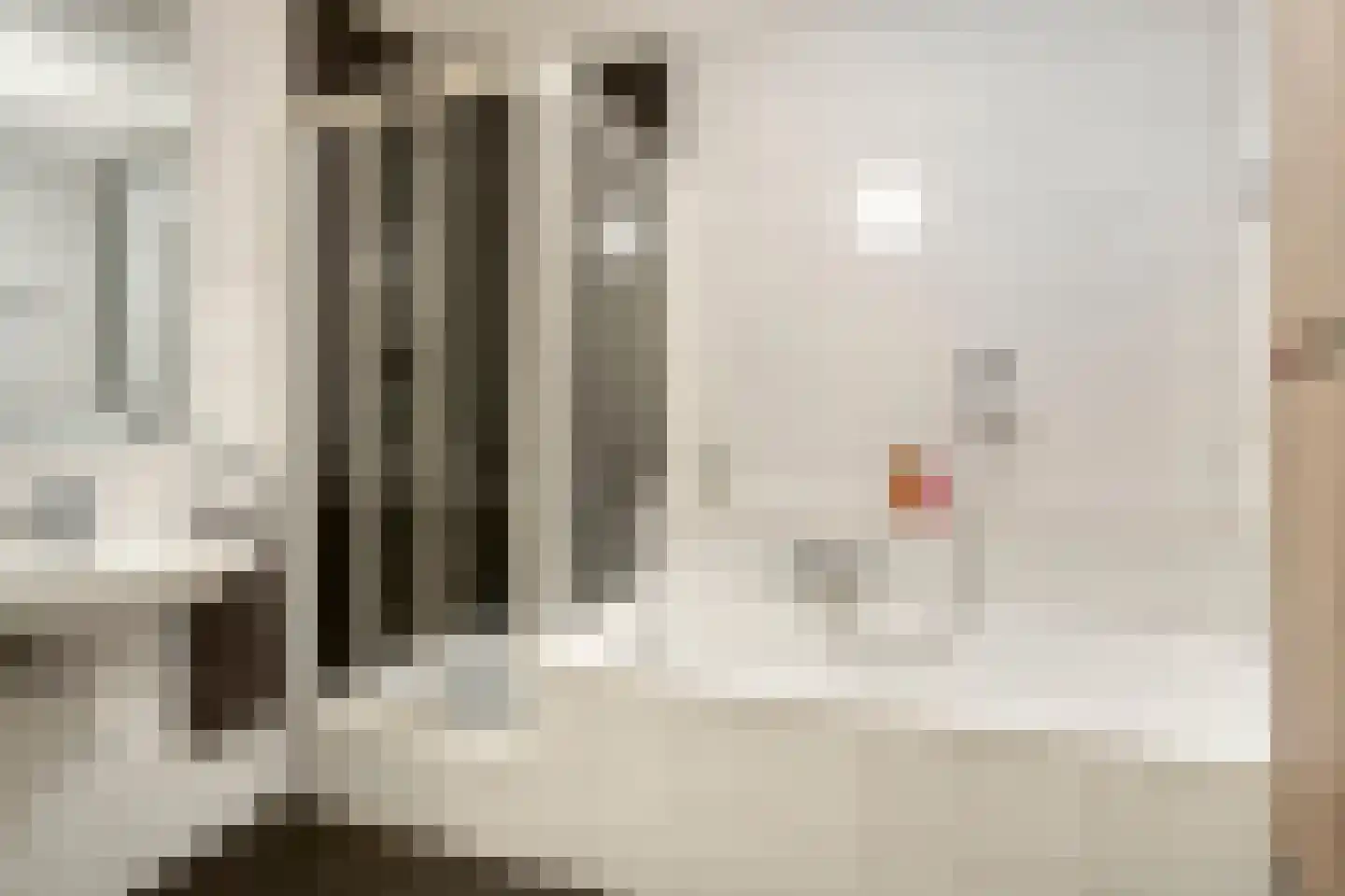 Melisse 7 Venray thumbnail 25