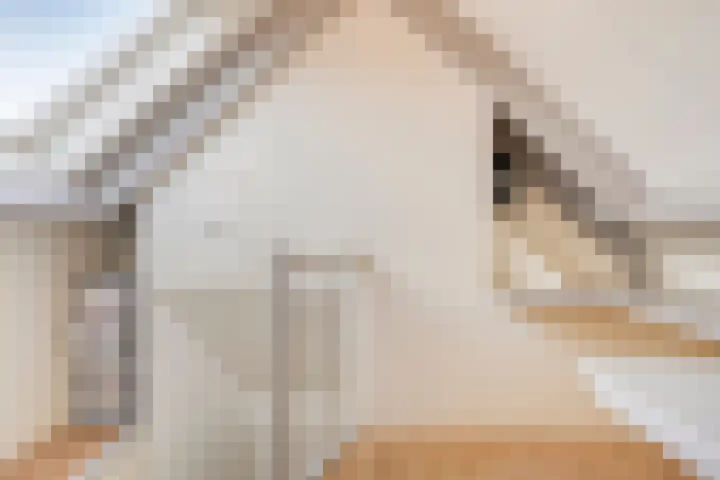 Melisse 7 Venray thumbnail 30