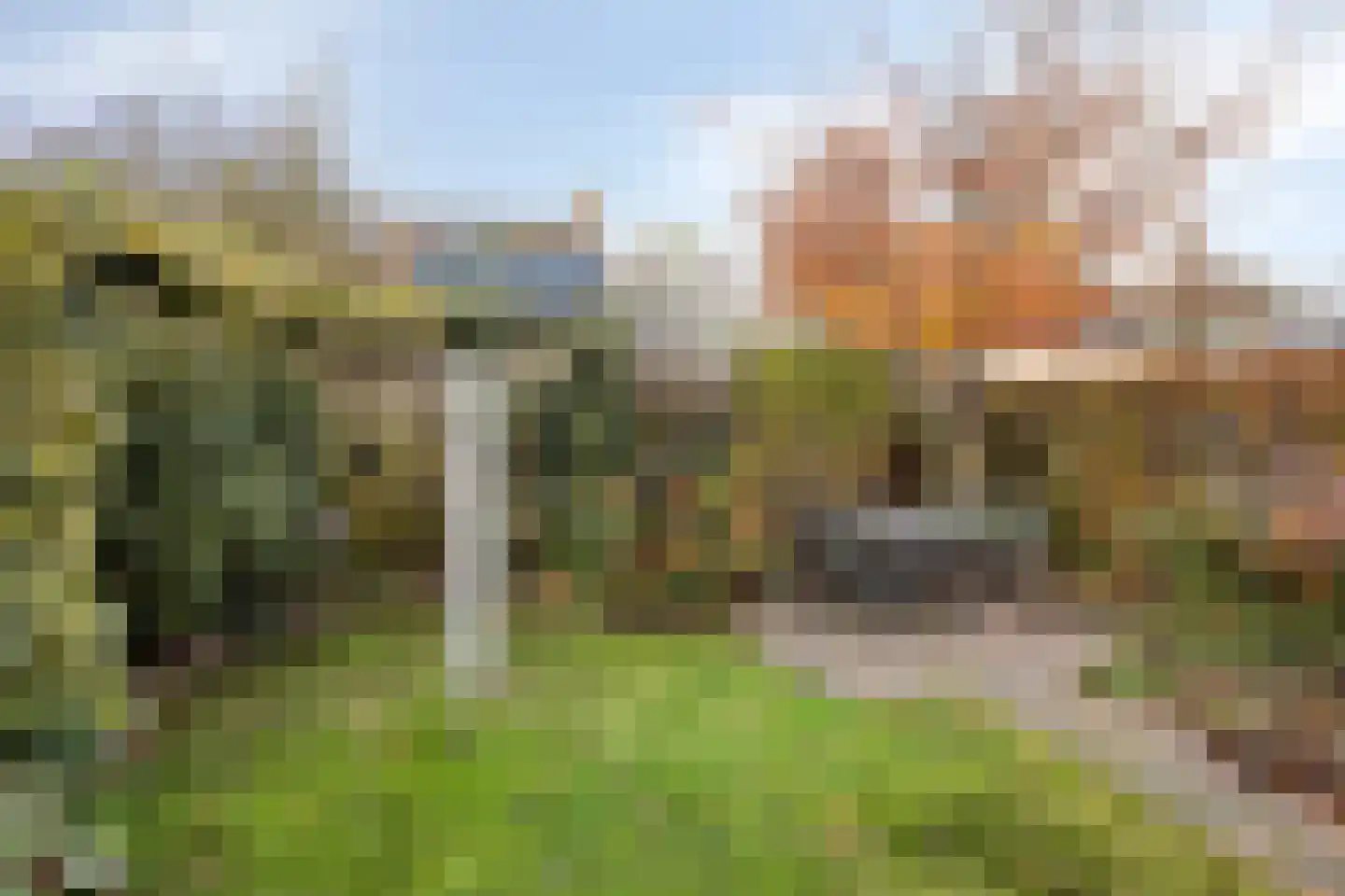 Melisse 7 Venray thumbnail 35