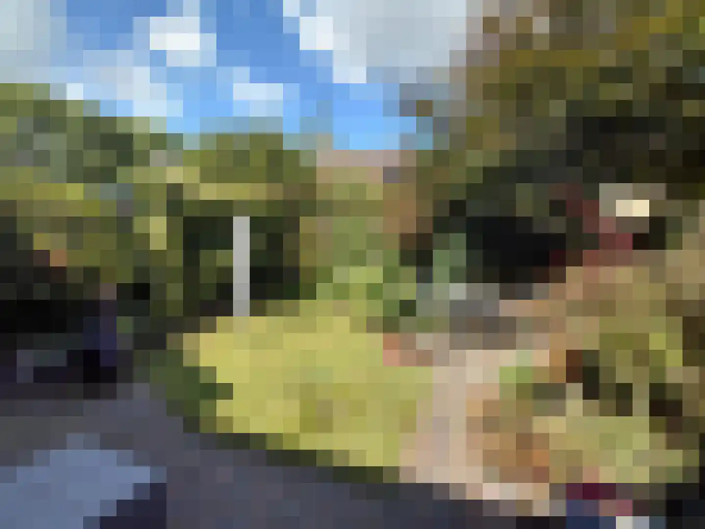 Melisse 7 Venray thumbnail 36