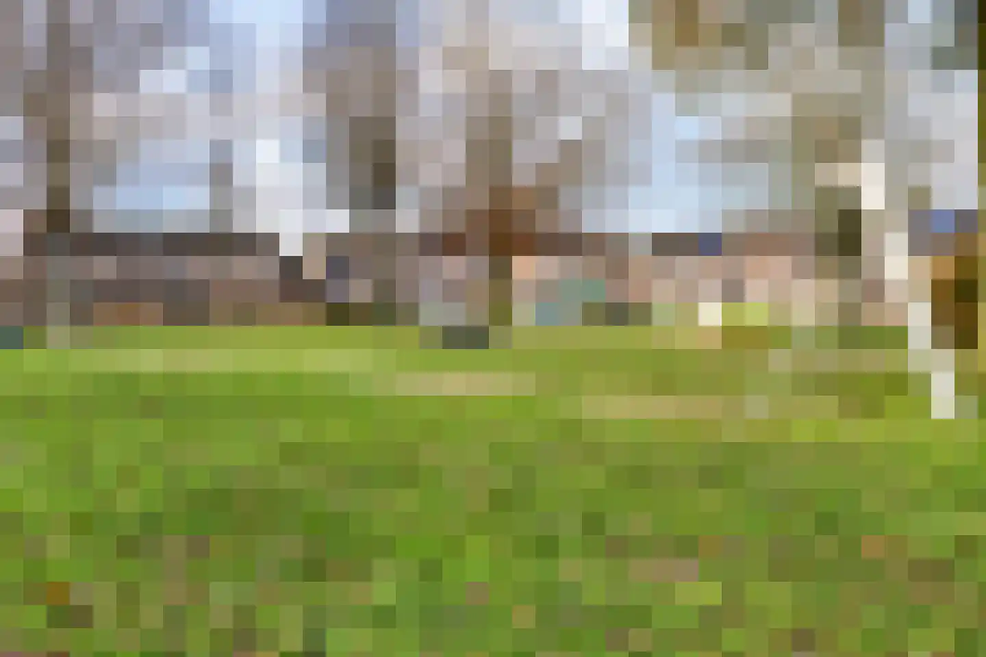 Melisse 7 Venray thumbnail 41