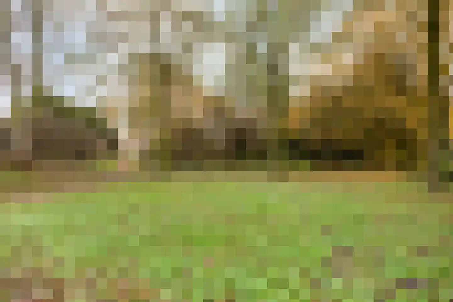 Melisse 7 Venray thumbnail 42