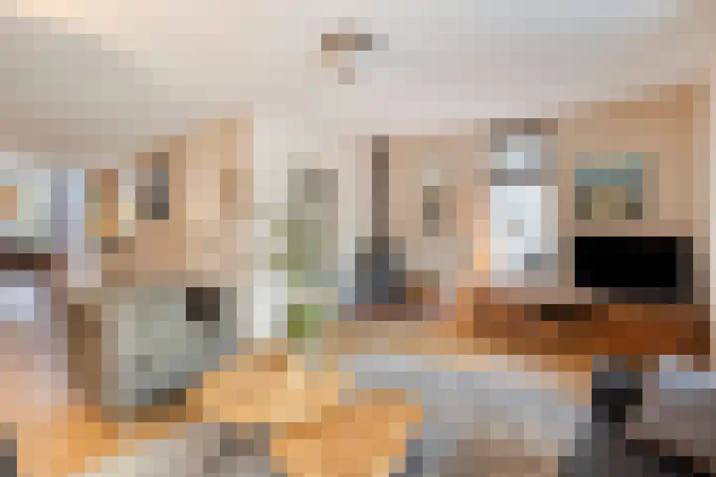 Melisse 7 Venray thumbnail 9