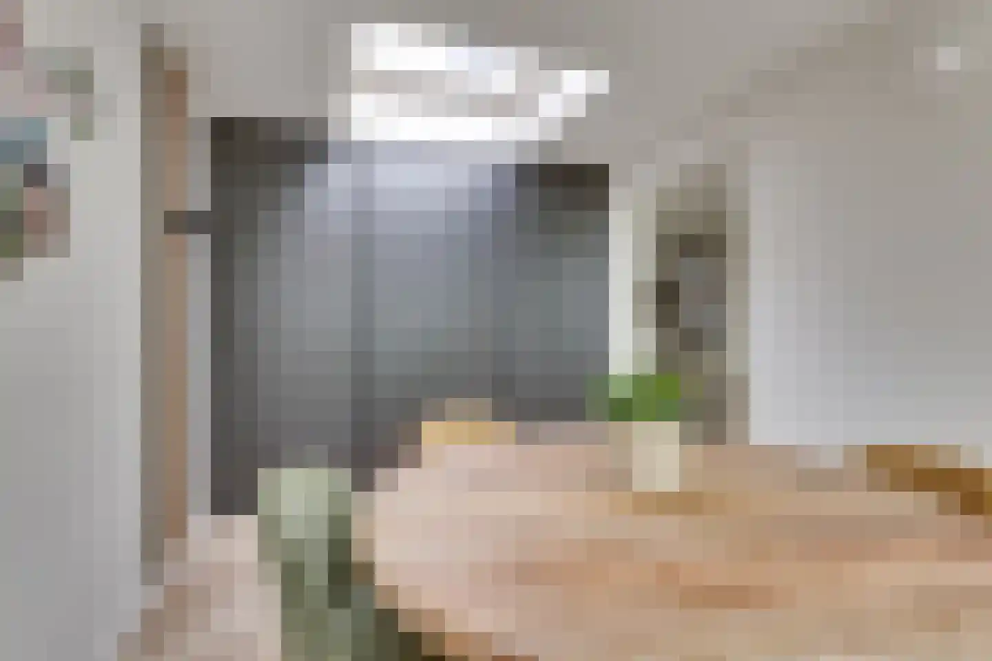 Melisse 70 Dronten thumbnail 12
