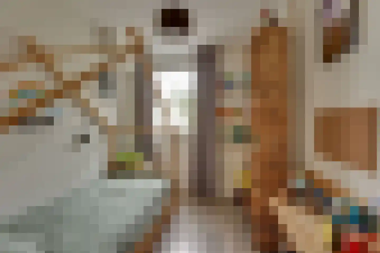 Melisse 70 Dronten thumbnail 20