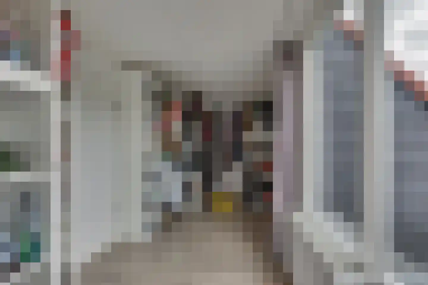Melisse 70 Dronten thumbnail 29