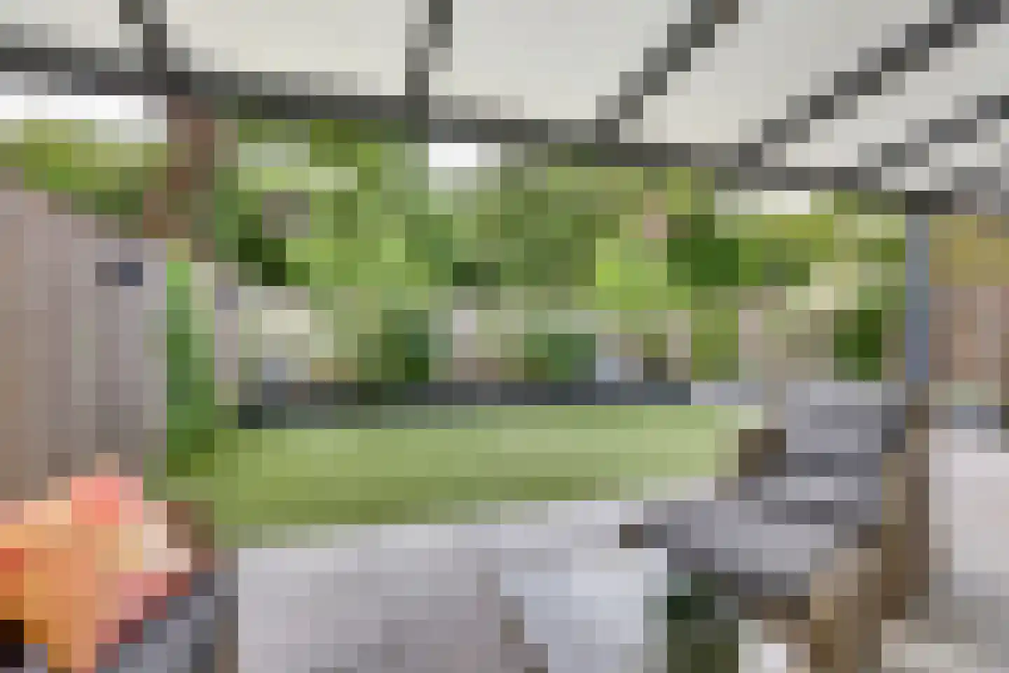 Melisse 70 Dronten thumbnail 33