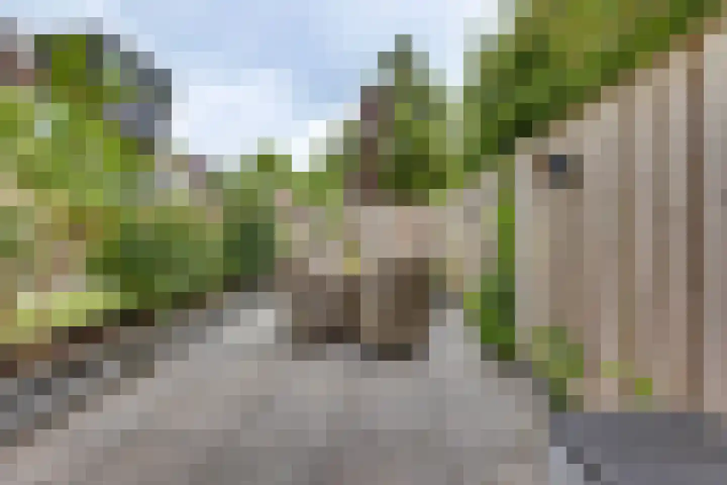 Melisse 70 Dronten thumbnail 35