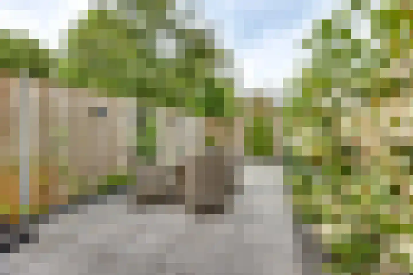 Melisse 70 Dronten thumbnail 36