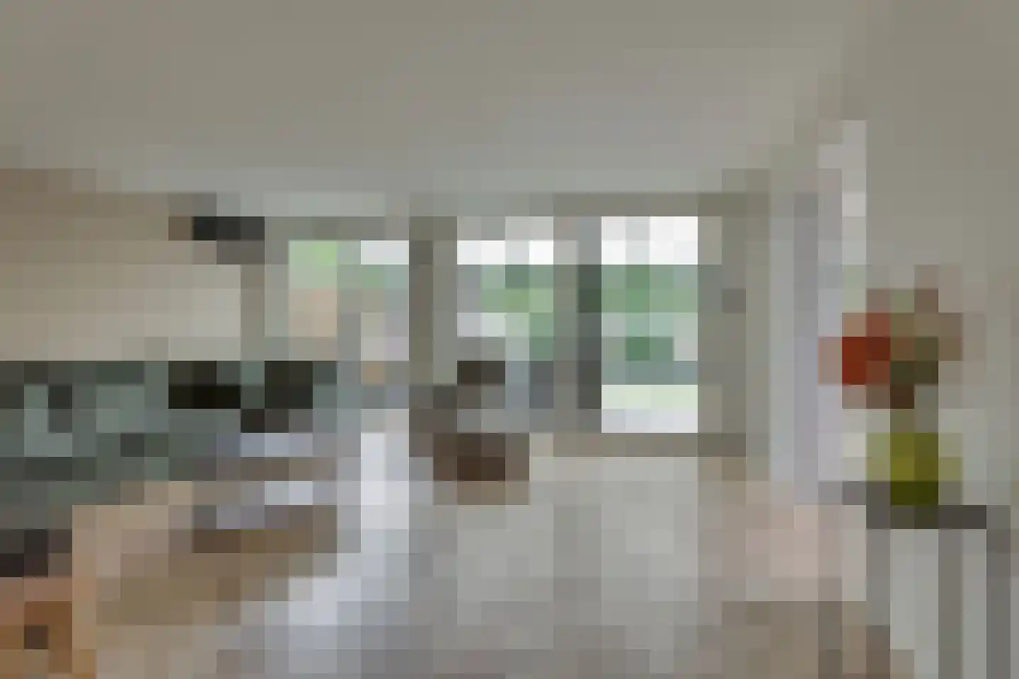 Melisse 70 Dronten thumbnail 6