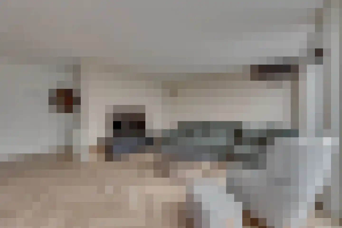 Melisse 70 Dronten thumbnail 8