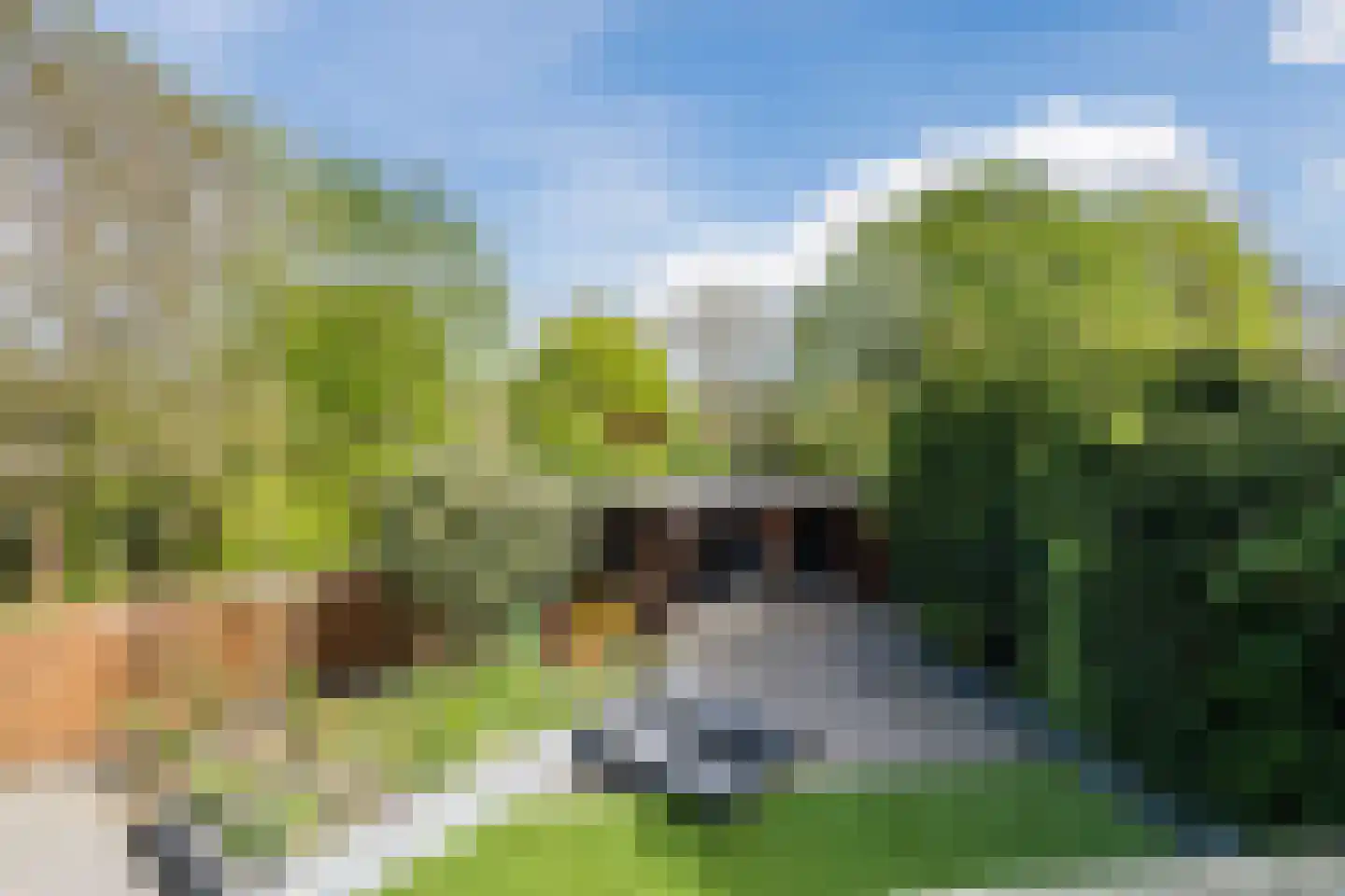 Melissegaarde 24 Nieuwegein thumbnail 46