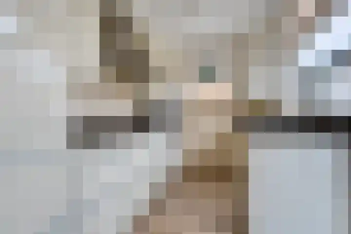 Melissehof 8 Wierden thumbnail 10