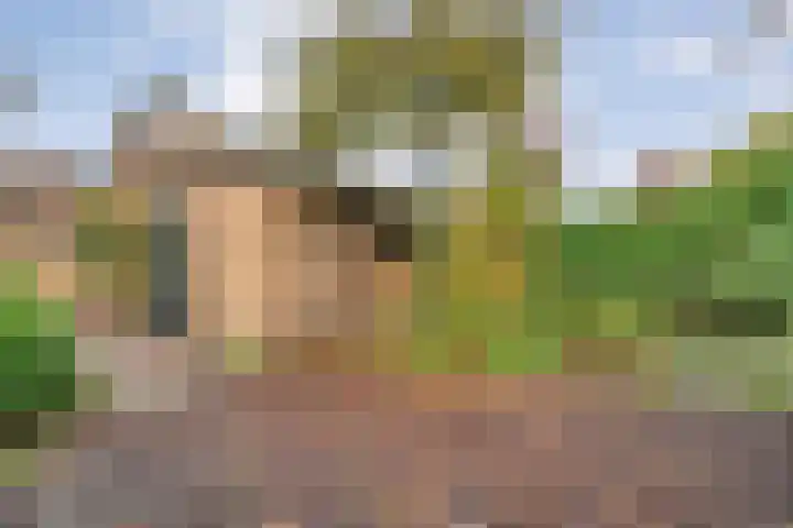 Melissehof 8 Wierden thumbnail 23