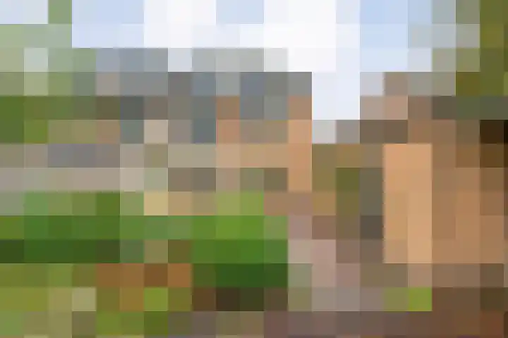 Melissehof 8 Wierden thumbnail 24