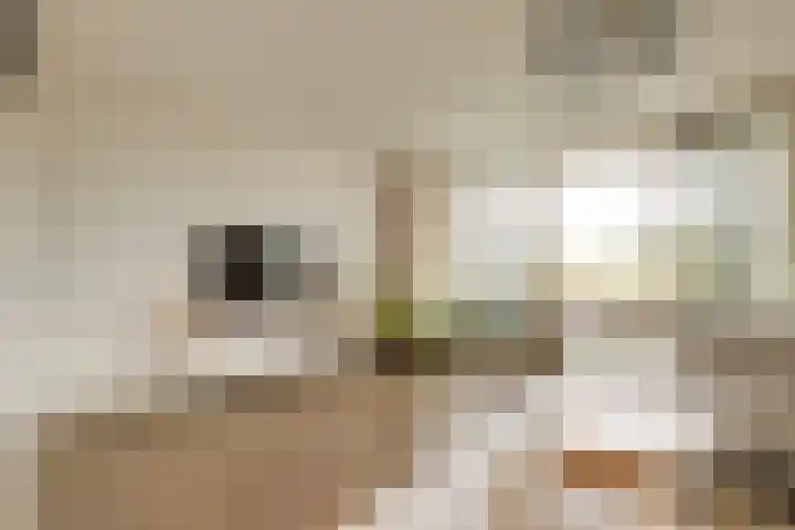 Melissekade 103 Utrecht thumbnail 12