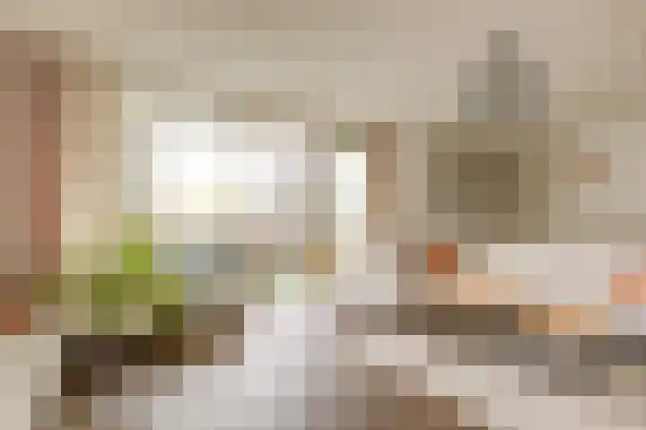 Melissekade 103 Utrecht thumbnail 13