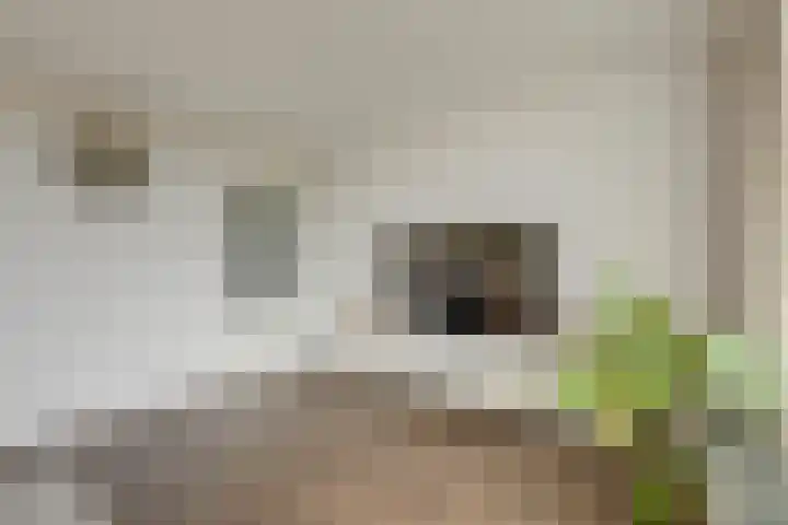 Melissekade 103 Utrecht thumbnail 15