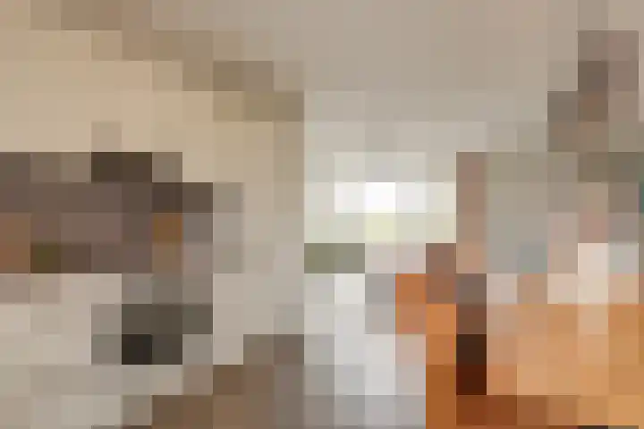 Melissekade 103 Utrecht thumbnail 17