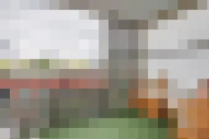 Melissekade 103 Utrecht thumbnail 19
