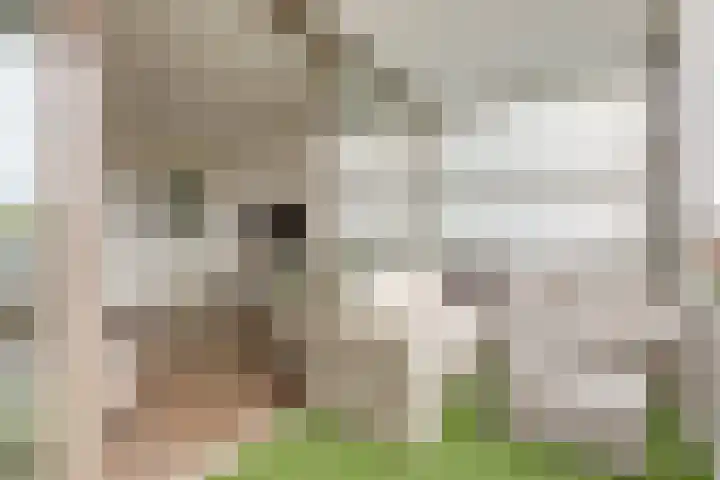 Melissekade 103 Utrecht thumbnail 20