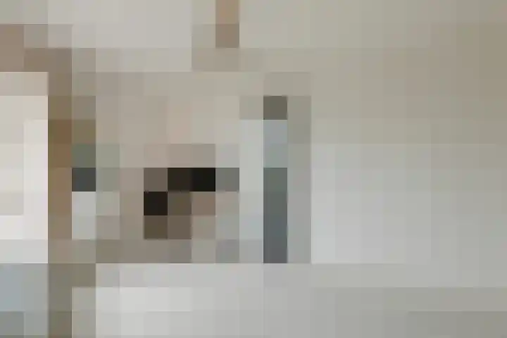Melissekade 103 Utrecht thumbnail 23
