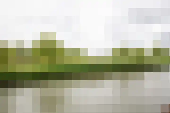 Melissekade 103 Utrecht thumbnail 30