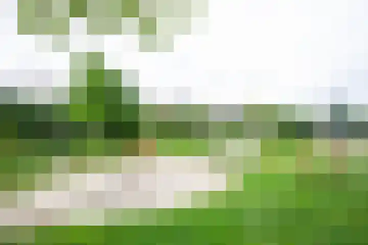 Melissekade 103 Utrecht thumbnail 33